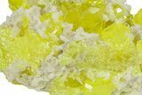 Striking Sulfur Crystals on Fluorescent Aragonite - Italy #282570-2